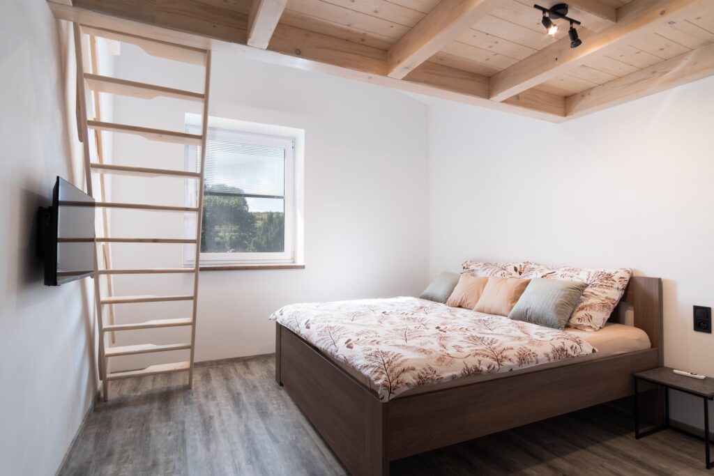 Apartmán RONI